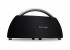 Harman/Kardon Go+Play